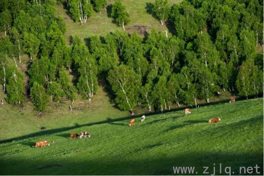 河（hé）北要建“國家1號（hào）公路”！世界級景觀長（zhǎng）廊來了